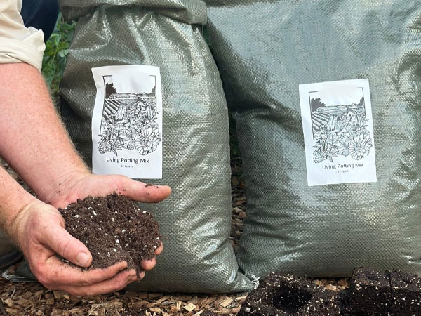 All Purpose Potting Soil in High River